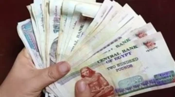 توافر مبكر.. المرتبات تُصرف لبعض الفئات بدءًا من ليلة الإثنين 24 نوفمبر 2025